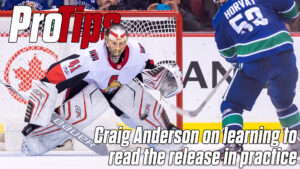 Craig Anderson in butterfly stance making a save in Ottawa Senators gear during a game against the Vancouver Canucks