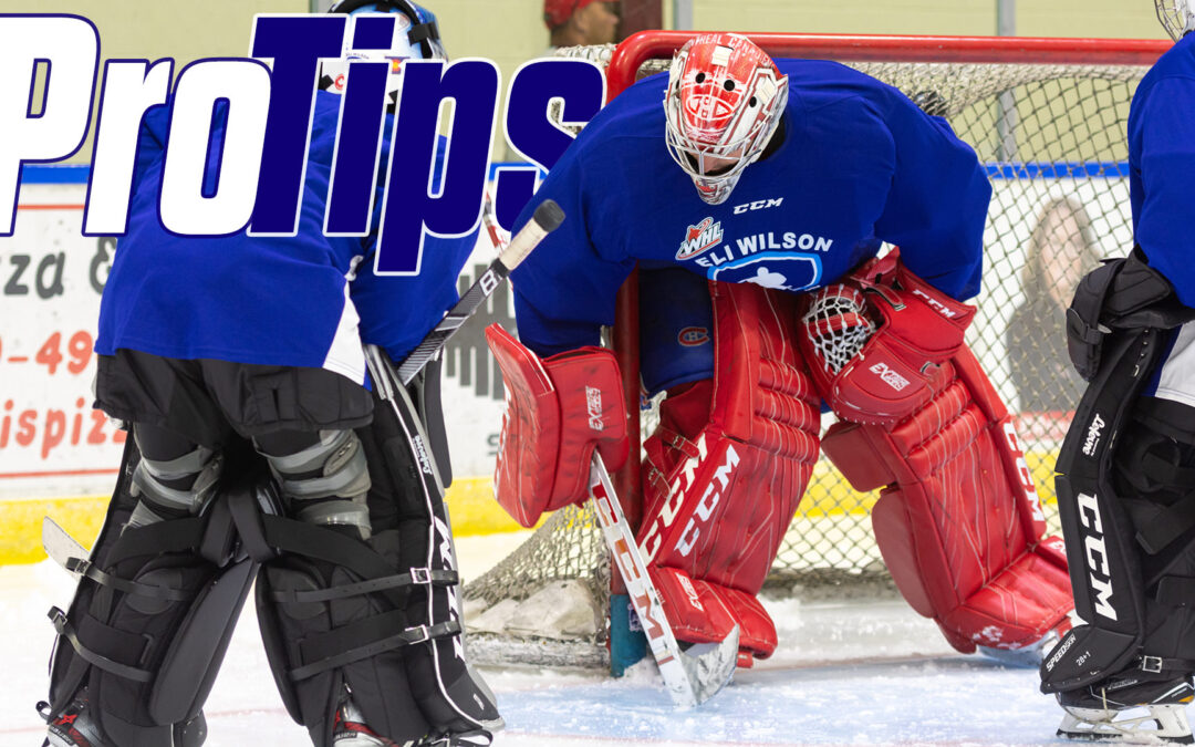 Pro-Tips:  Carey Price crease movement, and stick position on post