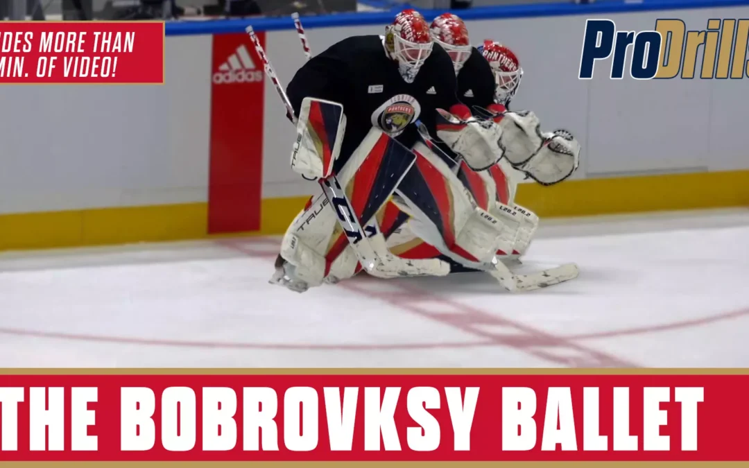 The Bobrovksy Ballet