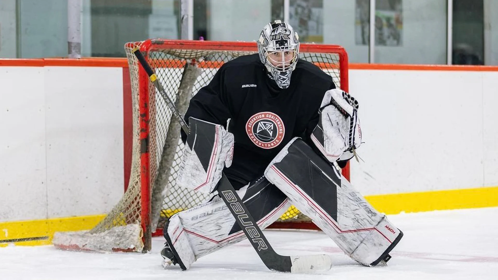 Assertion Goaltending