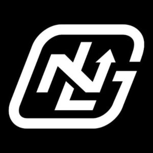 Next Level Goaltending Logo