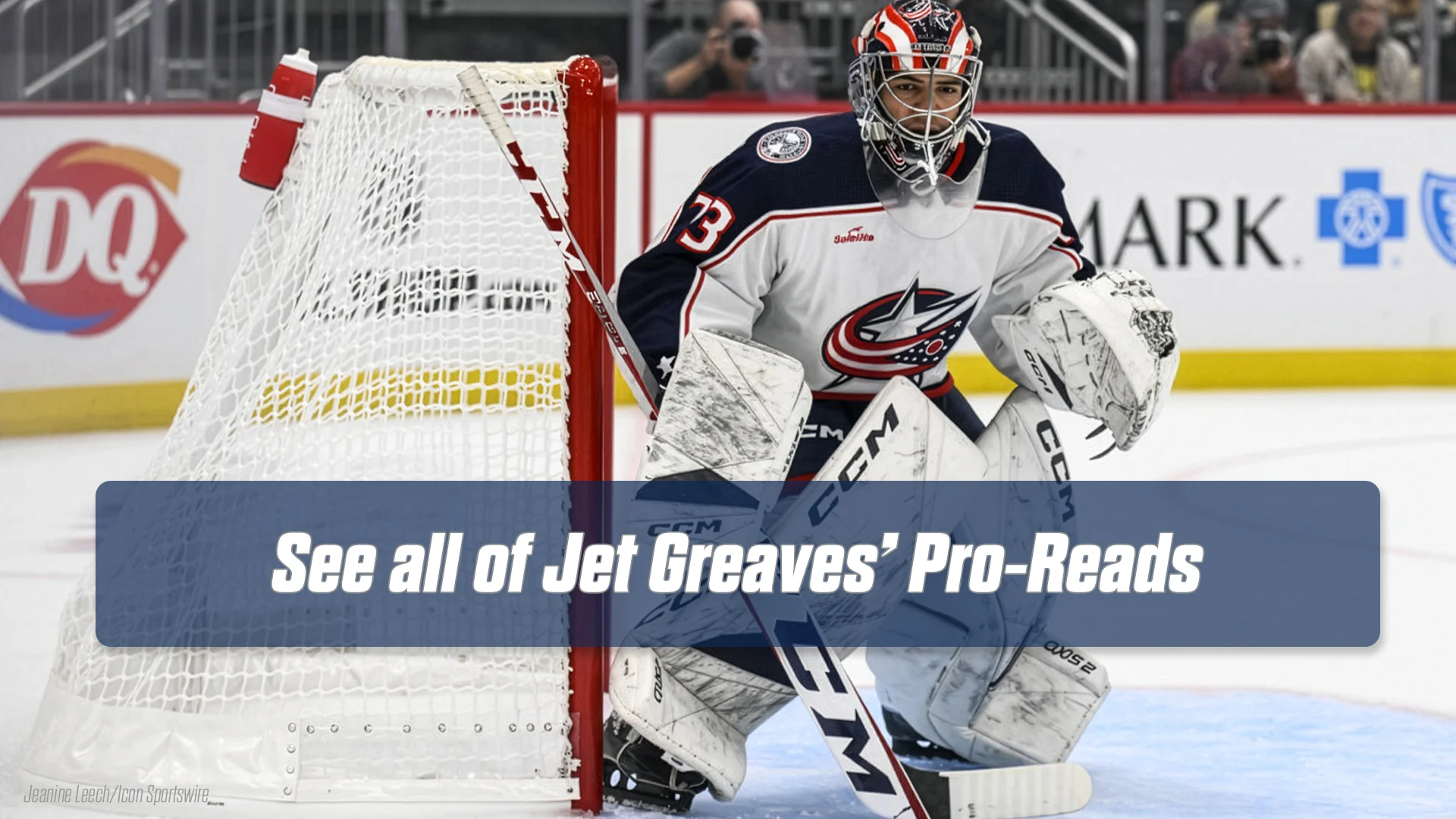 ProReads Archives Template