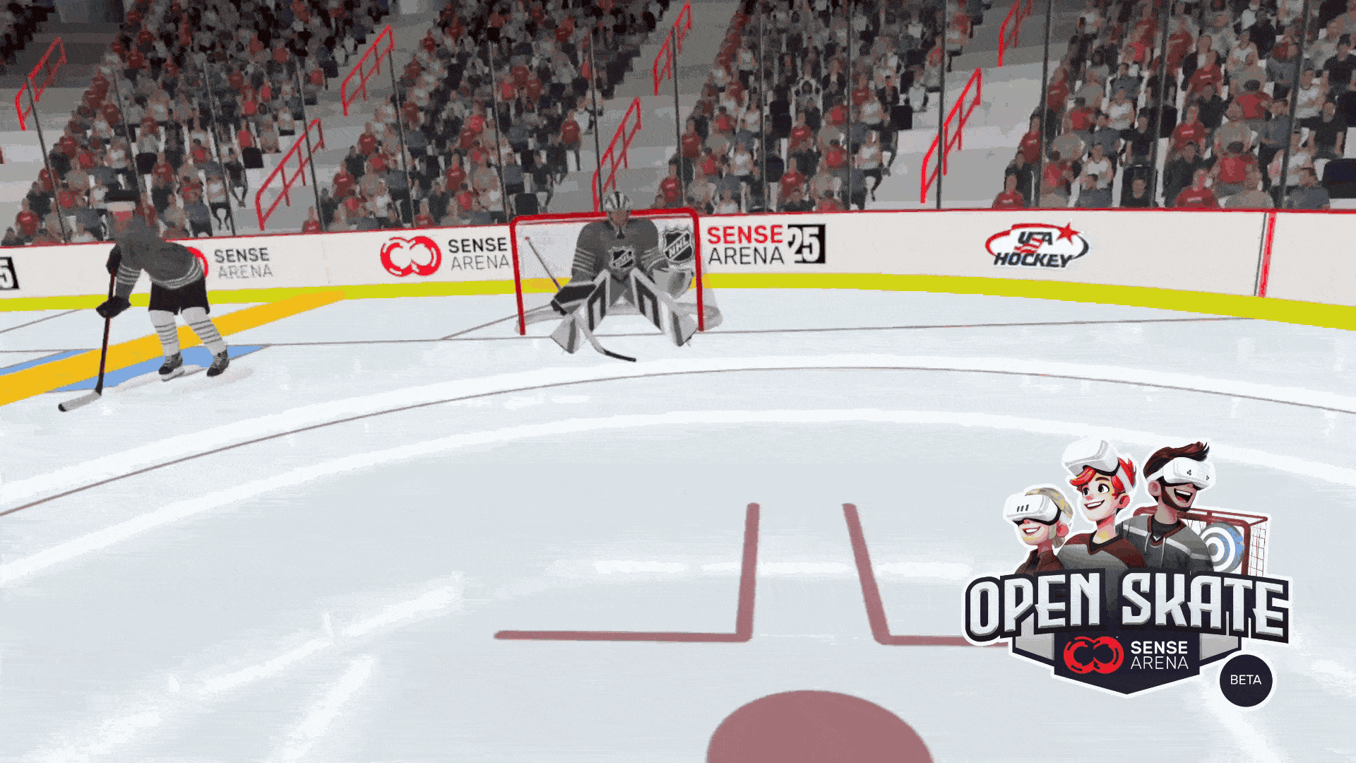 NHL Sense Arena 25