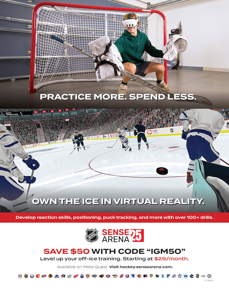 NHL Sense Arena Graphic