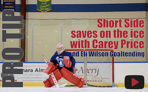 Carter Hutton Pro-Gear