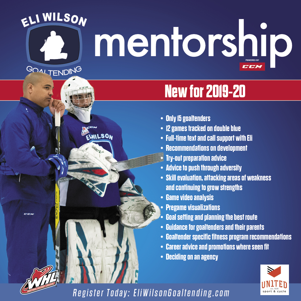 Mentorship Program with Eli Wilson