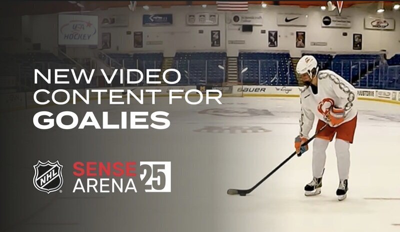 NHL Sense Arena Graphic